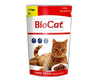 biocat-new